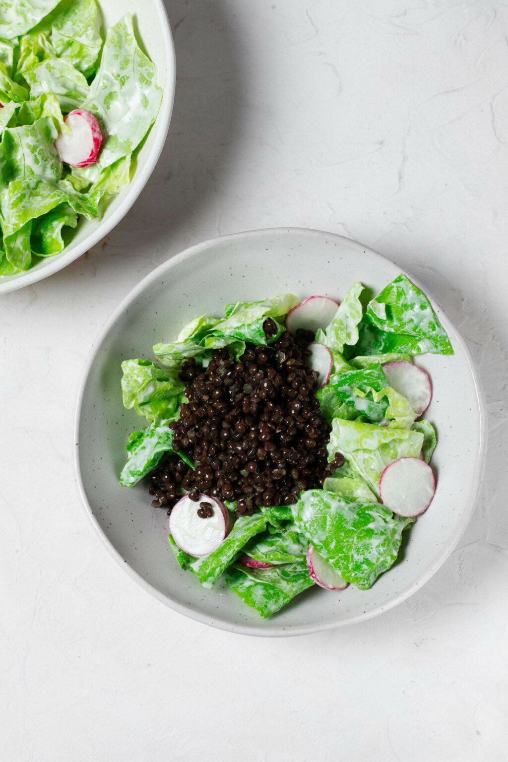 An overhead image of two round salad bowls, which are filled with a light, butter lettuce and radish salad. The salad is topped with black lentils.