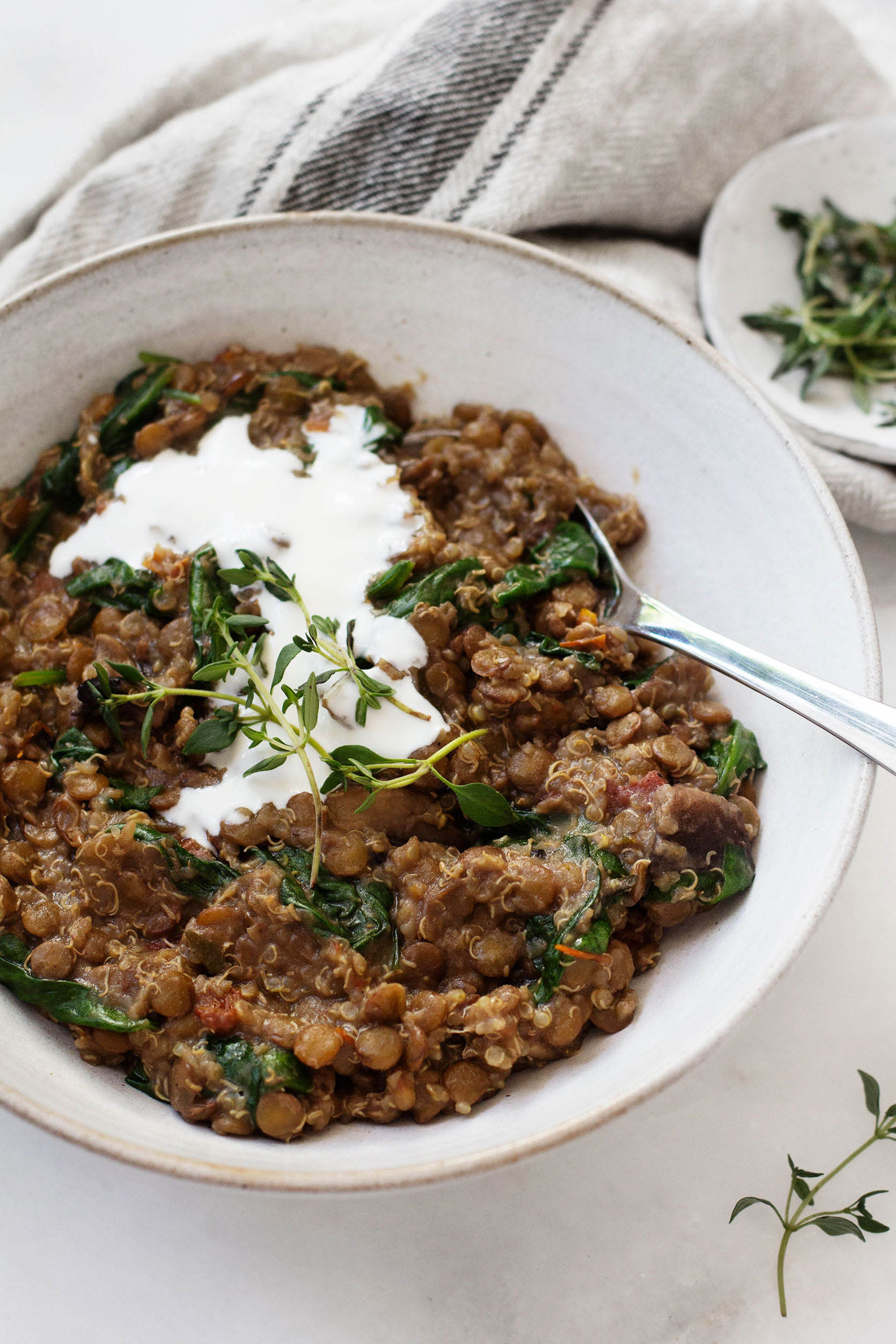 One-Pot Italian Quinoa and Lentils | The Full Helping